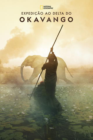 Expedição ao Delta do Okavango