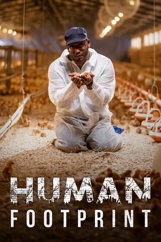 Ihmisen jalanjälki