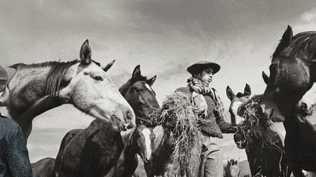 Gaucho, Gaucho (OmU)