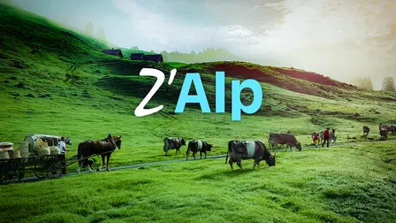 z'Alp