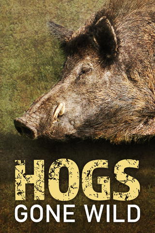 Hogs Gone Wild
