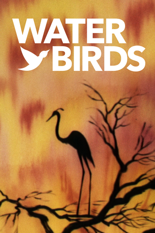 Water Birds