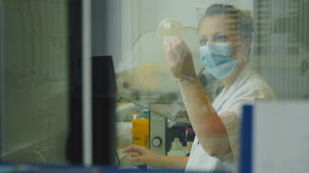 Stille Pandemie: Der globale Kampf gegen Antibiotika-Resistenz
