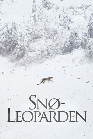 Snøleoparden