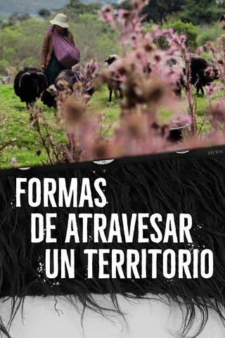 Formas de atravesar un territorio