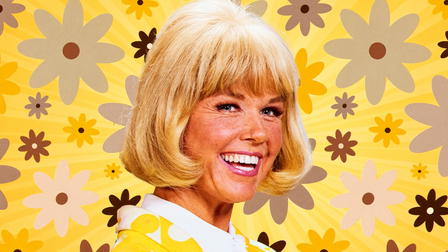 Doris Day Show