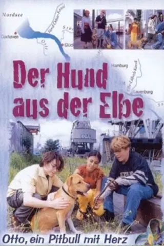 Der Hund aus der Elbe
