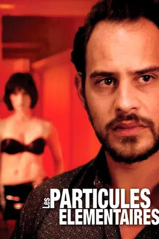 Les Particules élémentaires