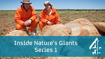 Inside Nature's Giants