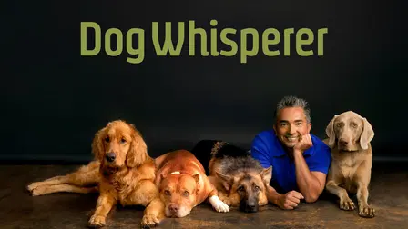 Dog Whisperer