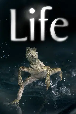 Life