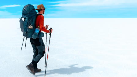 The Dreams of the Desert