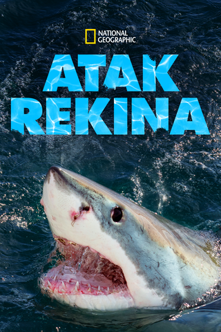 Atak rekina