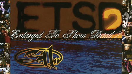 311: Enlarged to Show Detail 2
