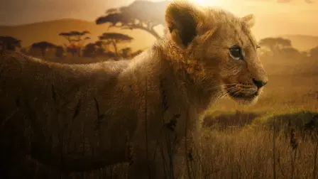 Lion