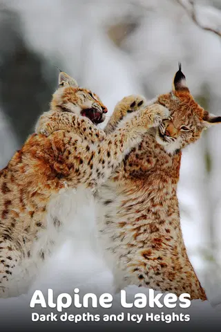 Alpine Lakes: Dark Depths and Icy Heights