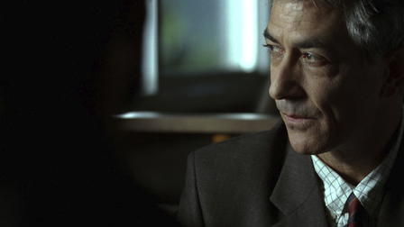 The Sensation of Sight