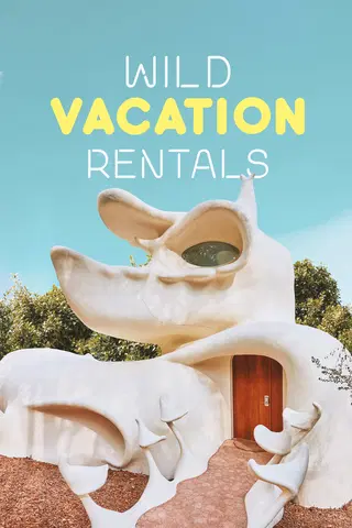 Wild Vacation Rentals