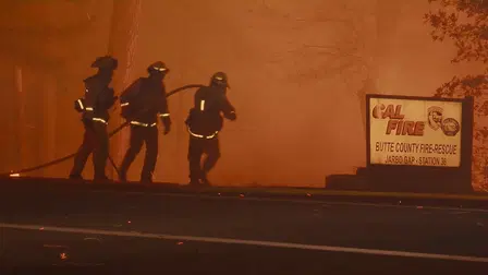 Heroes and Survivors