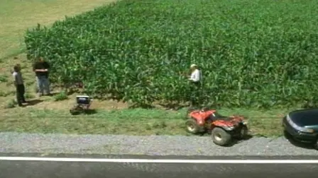 Corn
