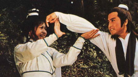 Fearless Kung Fu Elements