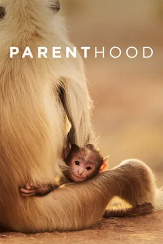 Parenthood