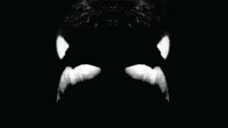 Blackfish