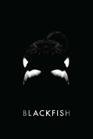 Blackfish
