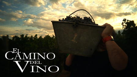 Camino Del Vino