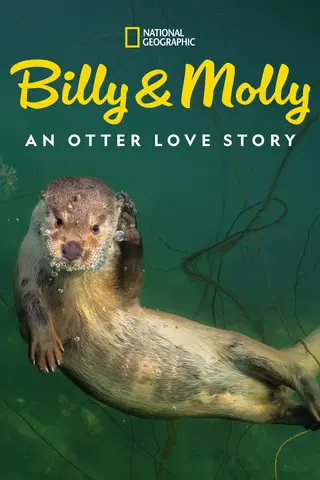 Billy & Molly: An Otter Love Story
