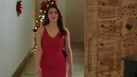 Navidad en Santa Fe