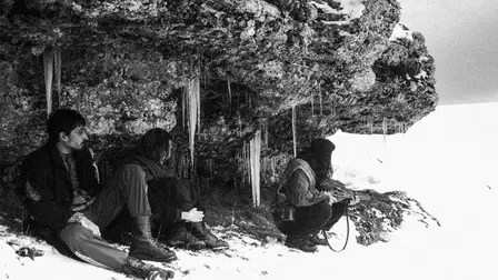 The Dead Remain with Their Mouths Open