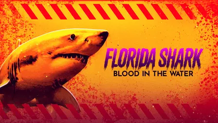 Florida Shark: Blood in the Water