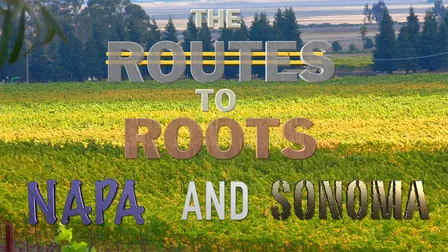 The Routes to Roots: Napa and Sonoma