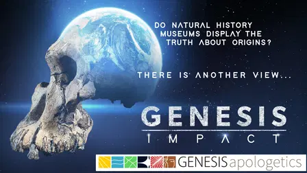 Genesis Impact