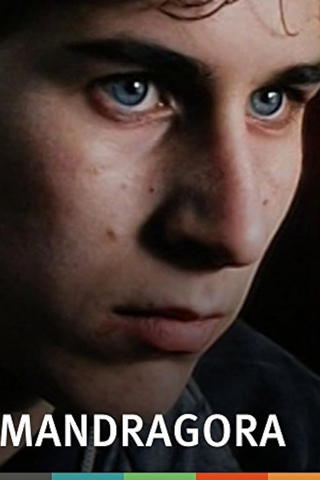 Mandrake