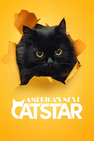 America's Next Cat Star