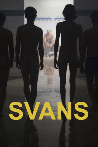 Swans