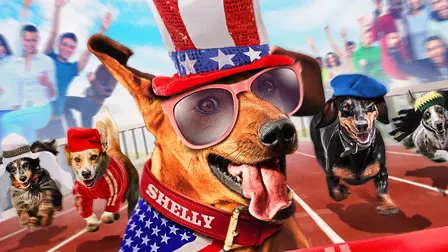 Wiener Dog Internationals