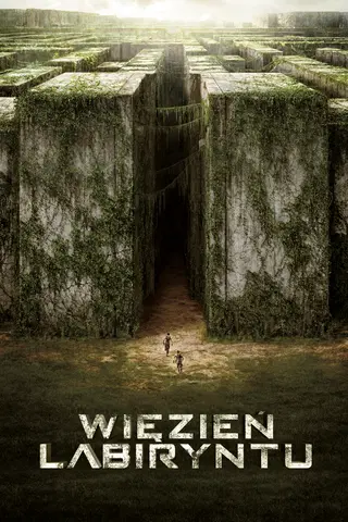 Więzień Labiryntu
