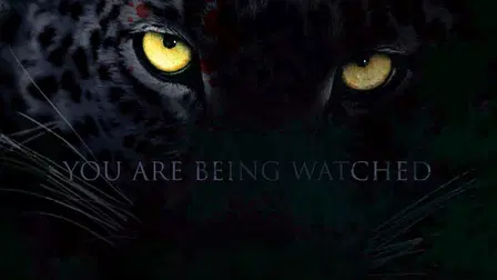 Forest of the Living Dead