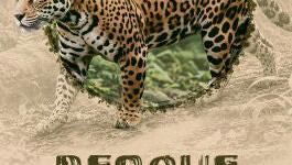 Rescue center 