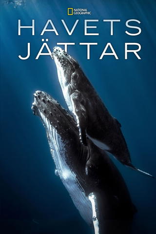 Havets jättar