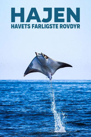 Hajen - havets farligste rovdyr