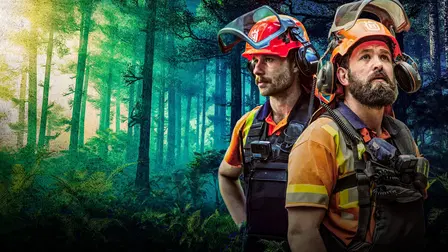 Timber Titans