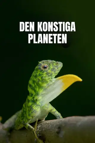 Den konstiga planeten
