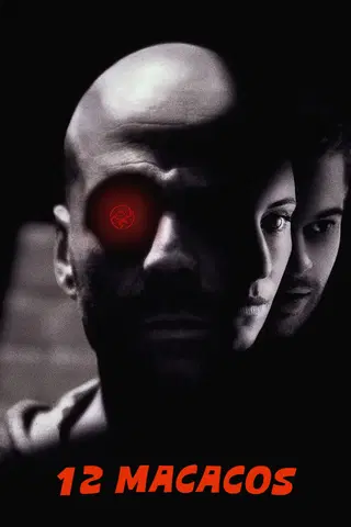 Os 12 Macacos