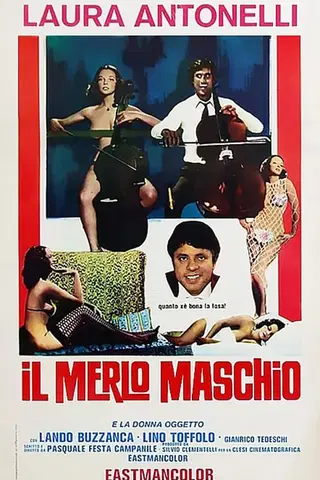 Il Merlo Maschio
