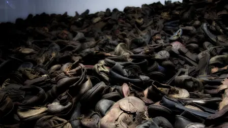One Day in Auschwitz