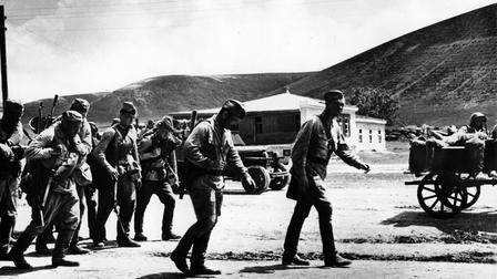 They Fought for Their Country